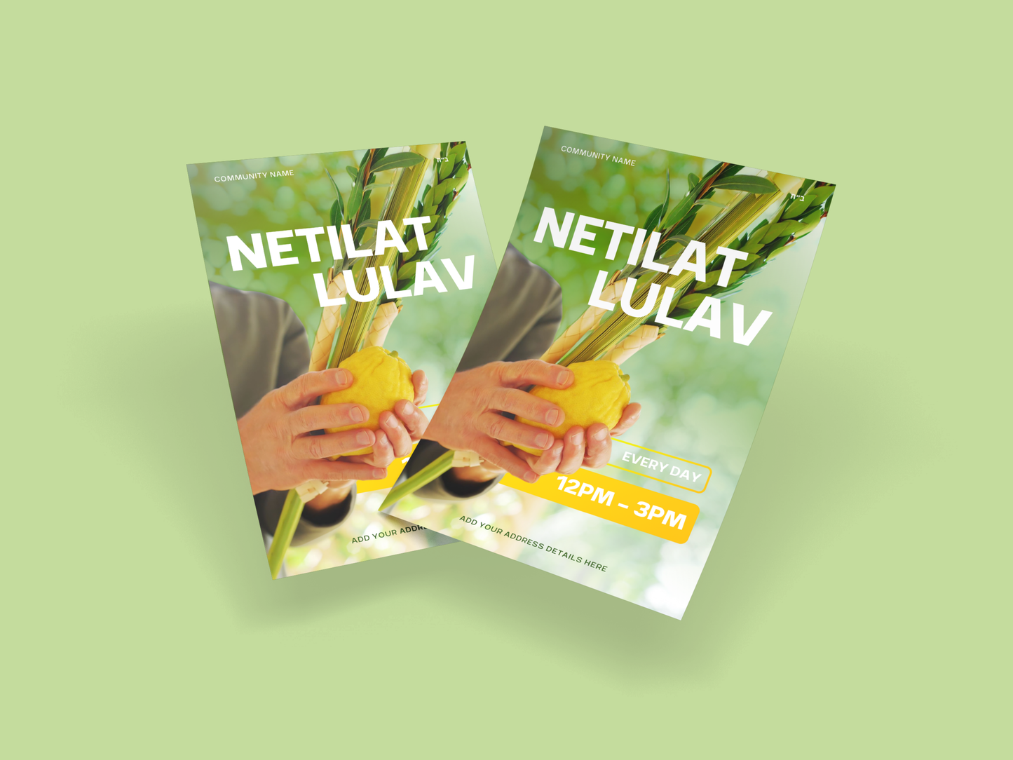 Netilat Lulav